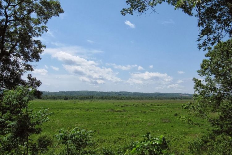 Poynette, WI Homes for Sale and Realtors